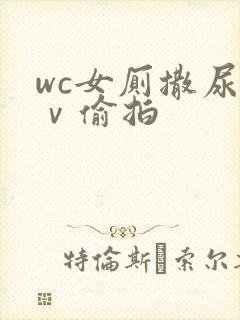 wc女厕撒尿七ⅴ偷拍