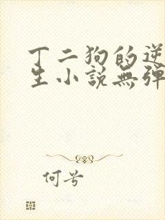 丁二狗的逆袭人生小说无弹窗