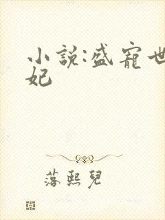 小说:盛宠世子妃