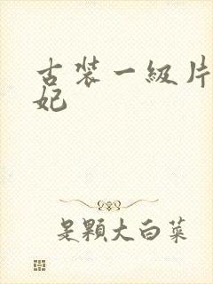 古装一级片杨贵妃