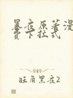 暴夜原著漫画免费下拉式封面