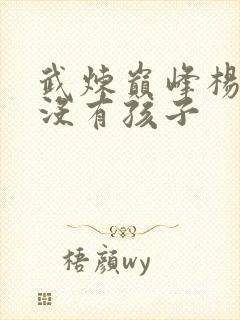 武炼巅峰杨开有没有孩子