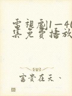 电视剧1—40集免费播放