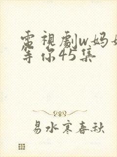 电视剧w妈妈在等你45集