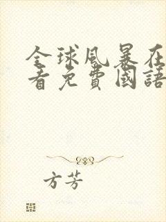 全球风暴在线观看免费国语完整版封面