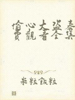 偷心大盗泰剧免费观看全集在线观看高清