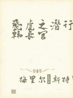 飞虎之潜行极战韩长官