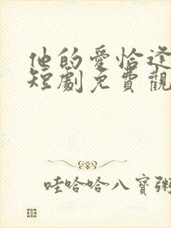 他的爱恰逢其时短剧免费观看