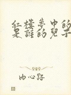 红楼梦中的贾琏是谁的儿子封面