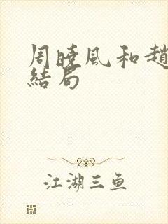 周晓风和赵彤的结局