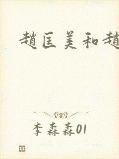 赵匡美和赵匡胤封面