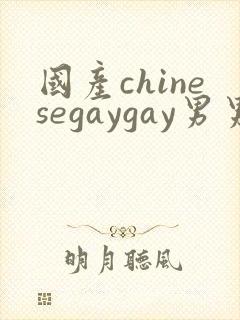 国产chinesegaygay男男网站封面