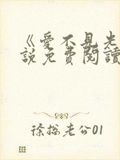 《爱不见光》小说免费阅读全文封面