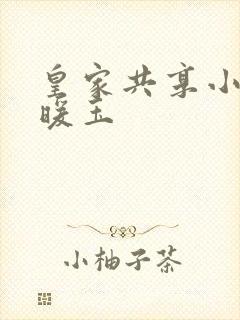 皇家共享小公主暖玉