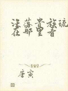 没落贵族琉璃川在哪里看