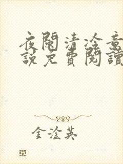夜阑清冷意欢小说免费阅读封面