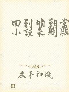 回到明朝当王爷小说未删版下载txt封面