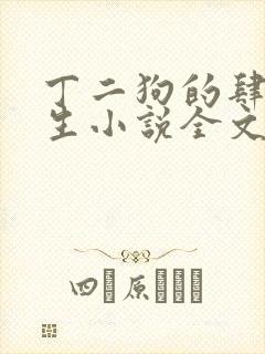 丁二狗的肆意人生小说全文免费阅读封面