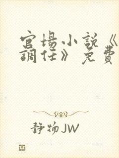 官场小说《密令调任》免费阅读下载