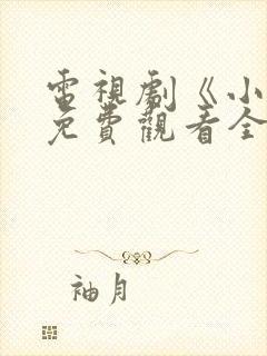 电视剧《小舅》免费观看全集高清