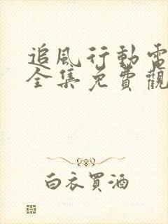 追风行动电视剧全集免费观看