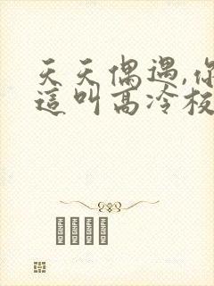 天天偶遇,你管这叫高冷校花