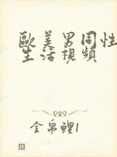 欧美男同性恋性生活视频