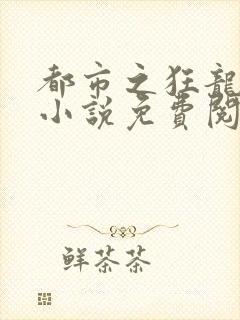 都市之狂龙战神小说免费阅读封面