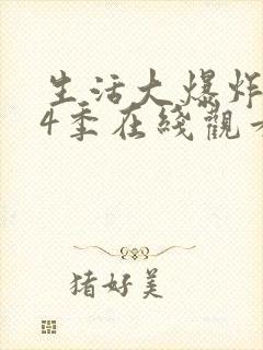 生活大爆炸 第4季在线观看全集免费播放