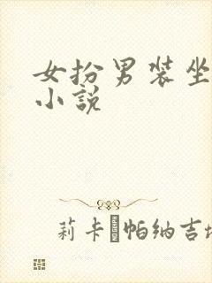 女扮男装坐江山小说