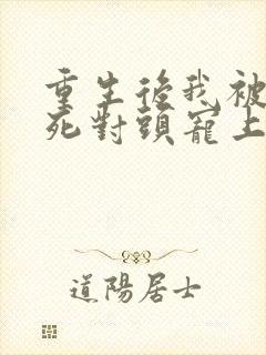 重生后我被渣男死对头宠上天短剧
