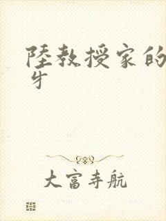 陆教授家的小月牙