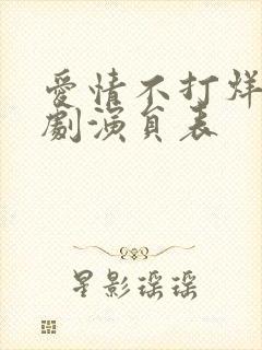 爱情不打烊电视剧演员表