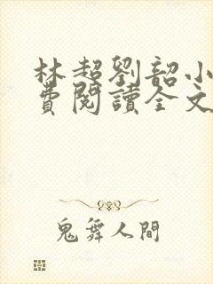 林超刘韶小说免费阅读全文最新章节封面