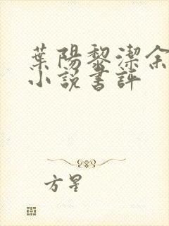 叶阳黎洁余秋水小说书评