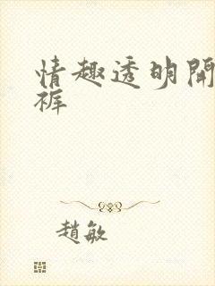 情趣透明开裆内裤封面