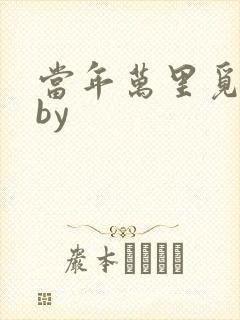 当年万里觅封侯by