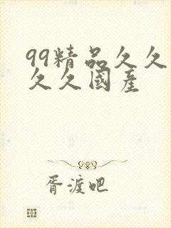 99精品久久久久久国产