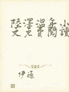 陆泽温年小说全文免费阅读封面