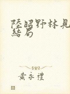陆昭野林见疏大结局