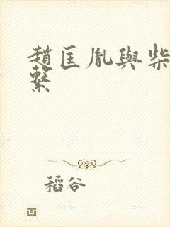 赵匡胤与柴家关系