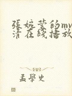 张婉莹的mv高清在线播放下载封面