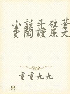 小说斗破苍穹免费阅读原文封面