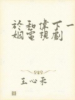 于和伟下一站婚姻电视剧