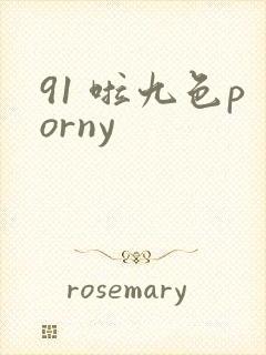 91 啦九色porny封面