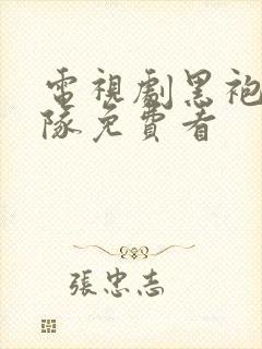 电视剧黑袍纠察队免费看