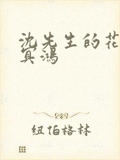 沈先生的花式调冥鸿