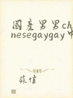 国产男男chinesegaygay中国帅哥网站