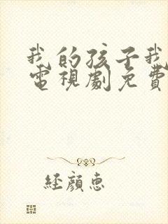 我的孩子我的家电视剧免费观看封面