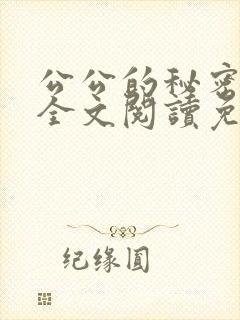 公公的秘密小说全文阅读免费封面